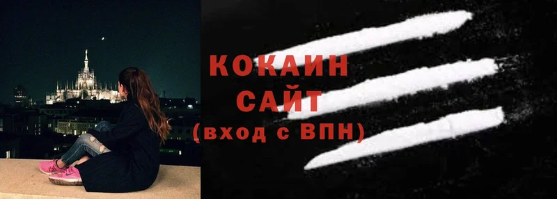 Cocaine Fish Scale  где продают   Ивантеевка 